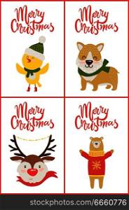 Merry Christmas collection with calligraphic headlines and images of birdie, dog and reindeer and bear in costume with pattern on vector illustration. Merry Christmas Collection on Vector Illustration