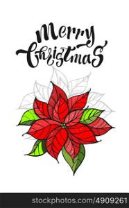 Merry Christmas hand drawn card. Isolated on a white background. The poinsettia flower, a symbol of Christmas.