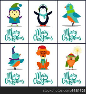 Merry Christmas, images collection of birds in warm clothes, penguin with scarf, dog with hat, owl with Bengal light isolated on vector illustration. Merry Christmas Images on Vector Illustration