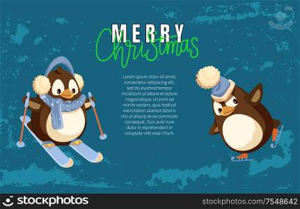 Merry Christmas penguin skiing active winter hobby vector. Poster with text sample, animal wearing scarf and hats, warm clothes protection from cold. Merry Christmas Penguin Skiing Active Winter Hobby