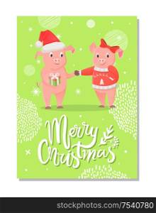 Merry Christmas postcard, piglets symbol of New Year with gift box on green snowflakes. Pig girlfriend and boyfriend in Santa hat and bow exchange presents vector. Merry Christmas Postcard, Pigs Symbol of New Year