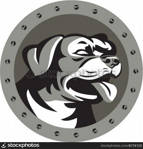 Metallic style illustration of a Rottweiler Metzgerhund mastiff-dog guard dog head looking to the side set inside circle with screws done in retro style. . Rottweiler Guard Dog Head Metallic Circle Retro