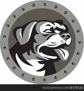 Metallic style illustration of a Rottweiler Metzgerhund mastiff-dog guard dog head looking to the side set inside circle with screws done in retro style. . Rottweiler Guard Dog Head Metallic Circle Retro
