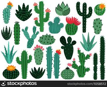 Mexican cactus and aloe. Desert spiny plant, mexico cacti flower and tropical home plants or arizona summer climate garden cactuses and succulent. Flora isolated vector icons collection. Mexican cactus and aloe. Desert spiny plant, mexico cacti flower and tropical home plants isolated vector collection