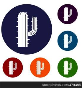 Mexican cactus icons set in flat circle red, blue and green color for web. Mexican cactus icons set