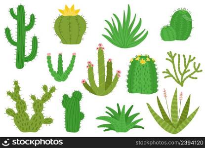 Mexican cactus. Isolated mexico cacti, houseplants decorative set. Desert green cactuses, nature blooming plants succulents. Cartoon decent vector botanical kit. Illustration of mexican cactus set. Mexican cactus. Isolated mexico cacti, houseplants decorative set. Desert green cactuses, nature blooming plants succulents. Cartoon decent vector cute botanical kit