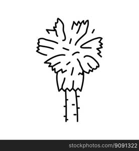 mexican fan palm tree line icon vector. mexican fan palm tree sign. isolated contour symbol black illustration. mexican fan palm tree line icon vector illustration