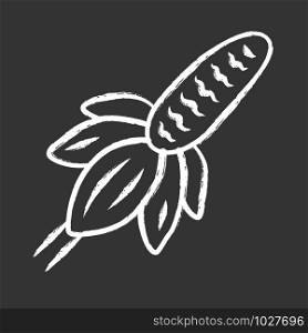 Mexican hat wild flower chalk icon. Upright prairie coneflower. Ratibida columnifera plant. Blooming wildflower. Spring blossom. Isolated vector chalkboard illustration