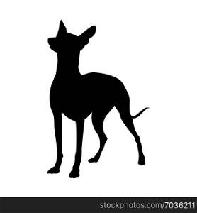 Mexican Naked Dog Silhouette. Smooth Vector Illustration.