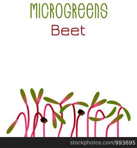 Microgreens Beet. Seed packaging design. Sprouting seeds of a plant. Vitamin supplement, vegan food. Microgreens Beet. Seed packaging design. Sprouting seeds of a plant