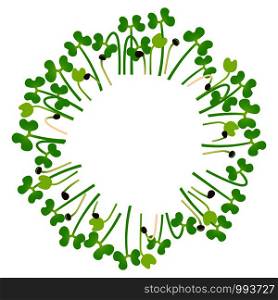 Microgreens Broccoli. Arranged in a circle. Vitamin supplement, vegan food. Microgreens Broccoli. Arranged in a circle. White background