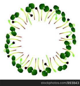 Microgreens Buckwheat. Arranged in a circle. Vitamin supplement, vegan food. Microgreens Buckwheat. Arranged in a circle. White background