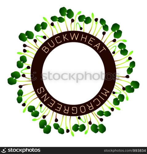 Microgreens Buckwheat. Seed packaging design, round element in the center. Around him sprouts. Vitamin supplement, vegan food. Microgreens Buckwheat. Seed packaging design, round element in the center. Around him sprouts