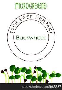 Microgreens Buckwheat. Seed packaging design. Vitamin supplement, vegan food. Microgreens Buckwheat. Seed packaging design, text, vegan food