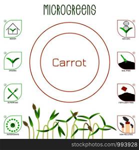 Microgreens Carrot. Seed packaging design. Icons - indoor, organic, superfood, antioxidants, non gmo, soil free, fertilizer free, non polluted. Microgreens Carrot. Seed packaging design, text, icons
