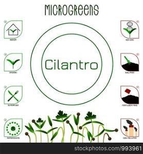 Microgreens Cilantro. Seed packaging design. Icons - indoor, organic, superfood, antioxidants, non gmo, soil free, fertilizer free, non polluted. Microgreens Cilantro. Seed packaging design, text, icons