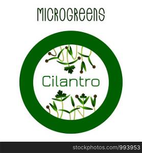 Microgreens Cilantro. Seed packaging design, round element in the center. Microgreens Cilantro. Seed packaging design, round element
