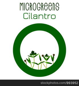 Microgreens Cilantro. Seed packaging design, round element in the center. Vitamin supplement, vegan food. Microgreens Cilantro. Seed packaging design, round element in the center