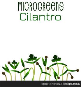 Microgreens Cilantro. Seed packaging design. Sprouting seeds of a plant. Vitamin supplement, vegan food. Microgreens Cilantro. Seed packaging design. Sprouting seeds of a plant