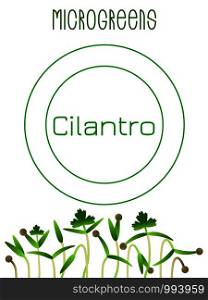 Microgreens Cilantro. Seed packaging design. Vitamin supplement, vegan food. Microgreens Cilantro. Seed packaging design, text, vegan food