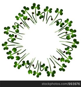 Microgreens Collard. Arranged in a circle. Vitamin supplement, vegan food. Microgreens Collard. Arranged in a circle. White background
