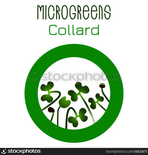 Microgreens Collard. Seed packaging design, round element in the center. Vitamin supplement, vegan food. Microgreens Collard. Seed packaging design, round element in the center