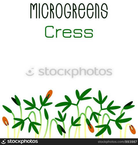 Microgreens Cress. Seed packaging design. Sprouting seeds of a plant. Vitamin supplement, vegan food. Microgreens Cress. Seed packaging design. Sprouting seeds of a plant