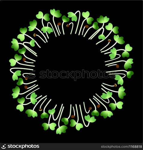 Microgreens Daikon Radish. Arranged in a circle. Vitamin supplement, vegan food. Black background. Microgreens Daikon Radish. Arranged in a circle. White background. Black background