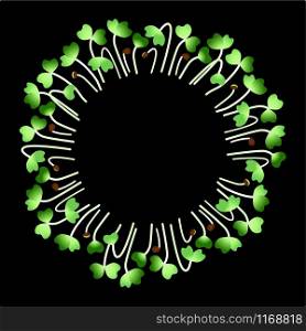 Microgreens Daikon Radish. Arranged in a circle. Vitamin supplement, vegan food. Black background. Microgreens Daikon Radish. Arranged in a circle. White background. Black background
