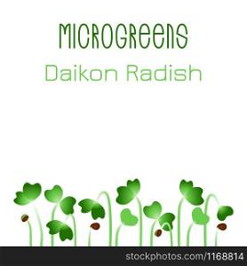 Microgreens Daikon Radish. Seed packaging design. Sprouting seeds of a plant. Vitamin supplement, vegan food. Microgreens Daikon Radish. Seed packaging design. Sprouting seeds of a plant