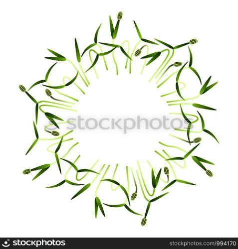 Microgreens Fennel. Arranged in a circle. Vitamin supplement, vegan food. Microgreens Fennel. Arranged in a circle. White background
