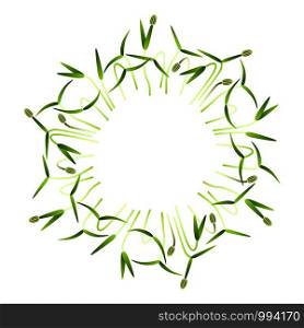 Microgreens Fennel. Arranged in a circle. Vitamin supplement, vegan food. Microgreens Fennel. Arranged in a circle. White background