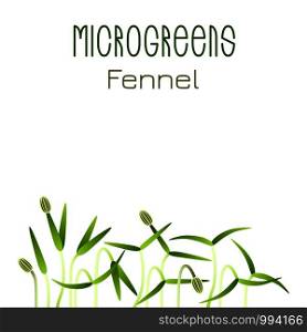 Microgreens Fennel. Seed packaging design. Sprouting seeds of a plant. Vitamin supplement, vegan food. Microgreens Fennel. Seed packaging design. Sprouting seeds of a plant