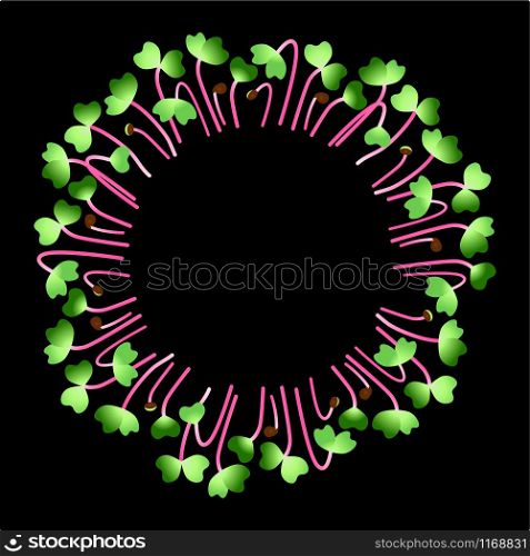 Microgreens Hong Vit Radish. Arranged in a circle. Vitamin supplement, vegan food. Black background. Microgreens Hong Vit Radish. Arranged in a circle. White background. Black background