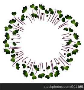 Microgreens Kale. Arranged in a circle. Vitamin supplement, vegan food. Microgreens Kale. Arranged in a circle. White background