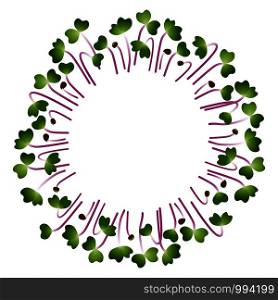 Microgreens Kohlrabi. Arranged in a circle. Vitamin supplement, vegan food. Microgreens Kohlrabi. Arranged in a circle. White background