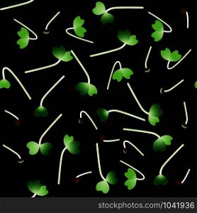 Microgreens Komatsuna. Sprouting seeds of a plant. Seamless pattern. Vitamin supplement, vegan food. Microgreens Komatsuna. Sprouting seeds of a plant. Seamless pattern. Vitamin supplement, vegan food.