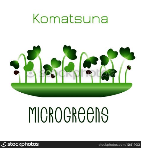 Microgreens Komatsuna. Sprouts in a bowl. Sprouting seeds of a plant. Vitamin supplement, vegan food. Microgreens Komatsuna. Sprouts in a bowl. Sprouting seeds of a plant. Vitamin supplement, vegan food.