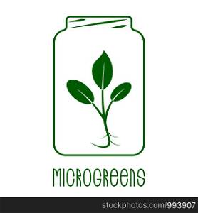 Microgreens Logo. Plant in a glass jar. Seed and living microgreens packaging design. Microgreens Logo. Plant in a glass jar. Seed and living microgreens packaging design.