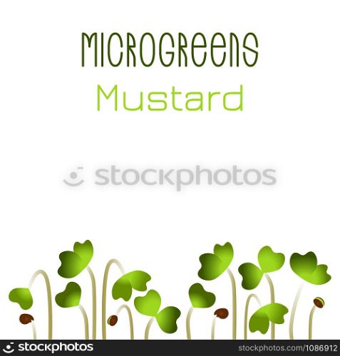 Microgreens Mustard. Seed packaging design. Sprouting seeds of a plant. Vitamin supplement, vegan food. Microgreens Mustard. Seed packaging design. Sprouting seeds of a plant