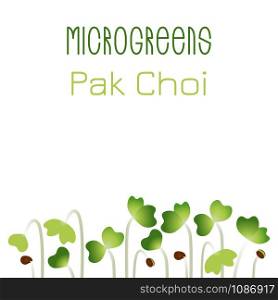 Microgreens Pak Choi. Seed packaging design. Sprouting seeds of a plant. Vitamin supplement, vegan food. Vector illustration, simple style with gradient.. Microgreens Pak Choi. Seed packaging design. Sprouting seeds of a plant