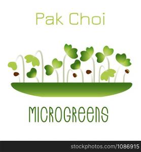 Microgreens Pak Choi. Sprouts in a bowl. Sprouting seeds of a plant. Vitamin supplement, vegan food. Vector illustration, simple style with gradient.. Microgreens Pak Choi. Sprouts in a bowl. Sprouting seeds of a plant. Vitamin supplement, vegan food.
