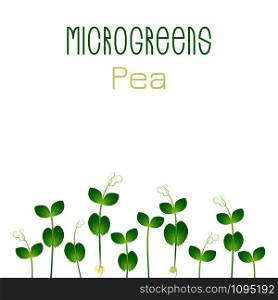 Microgreens Pea. Seed packaging design. Sprouting seeds of a plant. Vitamin supplement, vegan food. Microgreens Pea. Seed packaging design. Sprouting seeds of a plant
