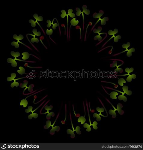 Microgreens Red Cabbage. Arranged in a circle. Vitamin supplement, vegan food. Black background. Microgreens Red Cabbage. Arranged in a circle. White background. Black background