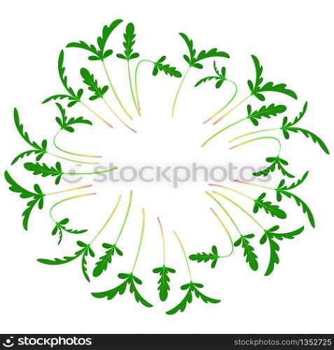 Microgreens Shungiku. Glebionis coronaria, garland chrysanthemum, chop suey green, crown daisy, Japanese-green. Arranged in a circle. Vitamin supplement, vegan food. Microgreens Shungiku. Arranged in a circle. White background