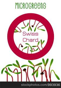 Microgreens Swiss Chard. Seed packaging design, round element in the center. Sprouting seeds of a plant. Vitamin supplement, vegan food. Microgreens Swiss Chard. Seed packaging design, round element in the center. Sprouting seeds of a plant