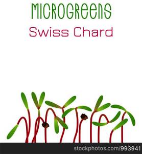 Microgreens Swiss Chard. Seed packaging design. Sprouting seeds of a plant. Vitamin supplement, vegan food. Microgreens Swiss Chard. Seed packaging design. Sprouting seeds of a plant