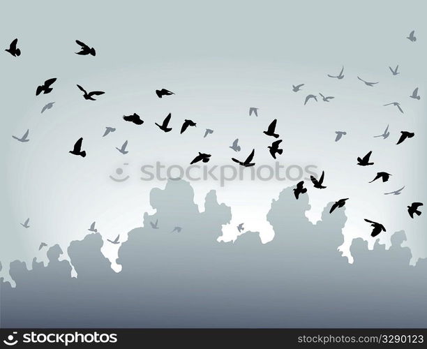 Migration