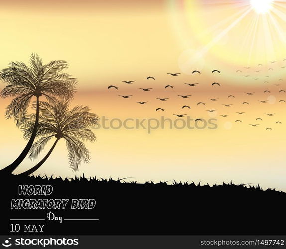 Migratory birds day in sunset light.Vector