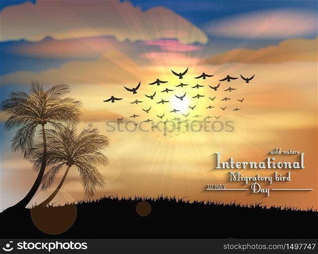 Migratory birds day in sunset light.Vector